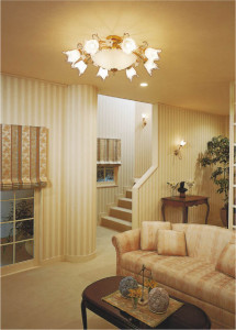 �������߾��� KOIZUMI ����ॷ���ǥꥢ AAE670091 �ܹ���̿�