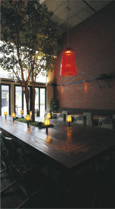 �������߾��� KOIZUMI LED�ڥ����� APE610292 �ܹ���̿�