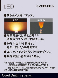 PANASONIC ѥʥ˥åŹ ƥꥢ饤 XLGE731 ץ  panasonic xlge731