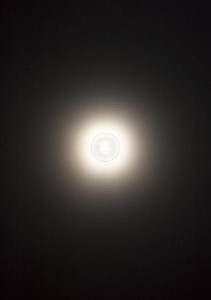 �ޥå����쥤 MAXRAY �֥饱�å� MB50182-01 �ۥ磻��