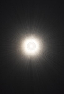 �ޥå����쥤 MAXRAY �֥饱�å� MB50184-01