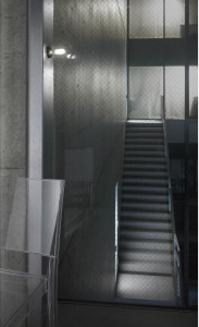 �ޥå����쥤 MAXRAY �֥饱�å� MB50209-36