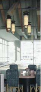 �ޥå����쥤 MAXRAY �ڥ����� 26-0700-02