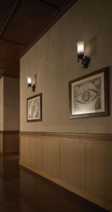 ޥå쥤 MAXRAY ֥饱å 26-3500-47