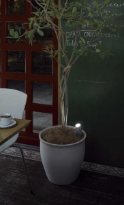 �ޥå����쥤 MAXRAY �����ȥɥ� MS10167-40