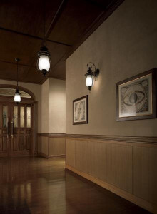 �ޥå����쥤 MAXRAY �֥饱�å� MB50160-21-74