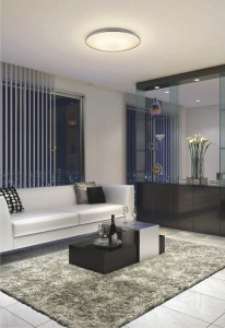 KOIZUMI �ָ���������� AHN638035