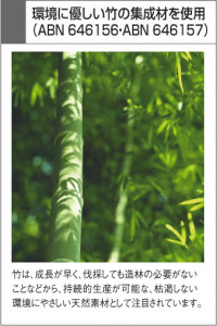 KOIZUMI ABN646156 �̿�2