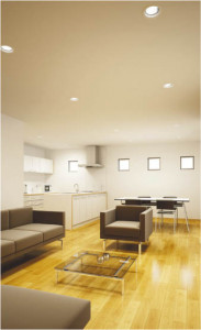 KOIZUMI ADN650685 �̿�1