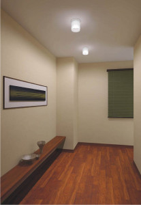 KOIZUMI AHE570146 �̿�1