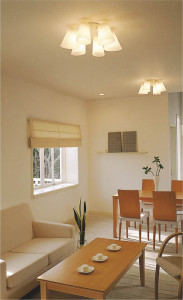 KOIZUMI AHN600077 �̿�3