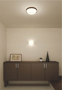 KOIZUMI AHN600115 �̿�3