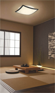 KOIZUMI AHN636333 �̿�3