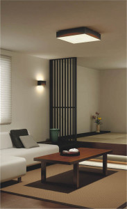 KOIZUMI AHN636340 �̿�5