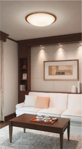 KOIZUMI AHN637012 �̿�4