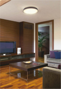 KOIZUMI AHN637036 �̿�3