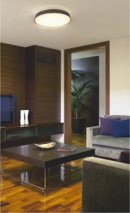 KOIZUMI AHN637037 �̿�2