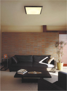 KOIZUMI AHN637054 �̿�2