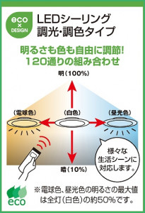 ODELIC LED������� OX9085LDR
