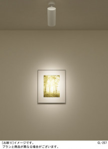 Panasonic LED���ݥåȥ饤�� LGB84235LG1 �̿�3