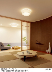 Panasonic ������� �������� HEA4052CE �̿�1