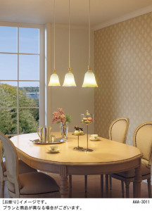 Panasonic ڥ HED1130E ̿2