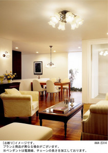 Panasonic �����ǥꥢ HEM5014CE �̿�1