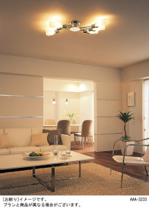 Panasonic ǥꥢ HEM6002CE ̿1