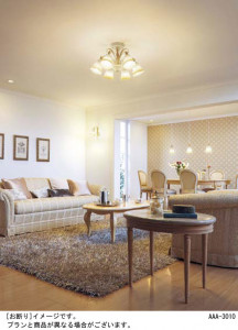 Panasonic ǥꥢ HEM6030E ̿1