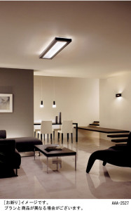 Panasonic �֥饱�å� HEW1076E �̿�1