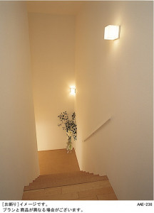 Panasonic �֥饱�å� HEW1145E �̿�1