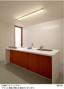 Panasonic ���å���饤�� HGA4910E �̿�1