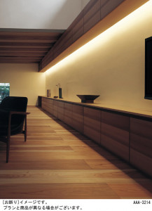 Panasonic ���ܾ��� HGA4920E �̿�2