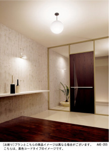 Panasonic �ڥ����� HGD1001WE �̿�1