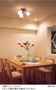 Panasonic �����ǥꥢ LB57395 �̿�1