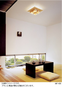 Panasonic ������� �������� LB58450 �̿�1