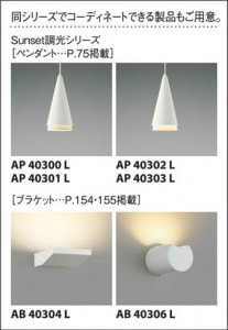 �������߾��� KOIZUMI LED�ⵤ̩SG��������饤��  AD39977L ��������