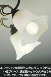 �������߾��� KOIZUMI �����֥饱�å� ABN646071 ��ħ�̿�