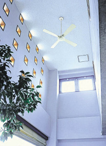 �������߾��� KOIZUMI ����ƥꥢ�ե��� AEE695013 �ܹ���̿�