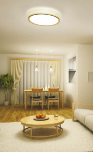 �������߾��� KOIZUMI LED������� AH37476L �ܹ���̿�