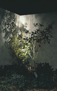 �������߾��� KOIZUMI LED�����ȥɥ����ѥ������ݥåȥ饤�� AU35872L �ܹ���̿�