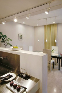 TOSHIBA ���ݥåȥ饤�� LUKE LU509 �̿�1