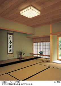 Panasonic LED ������󥰥饤�� LGBZ1719 �̿�1