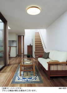 Panasonic LED ������󥰥饤�� LGBZ2464 �̿�1