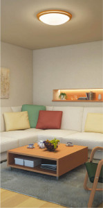 �������߾��� KOIZUMI ������� LED AH42004L �ܹ���̿�