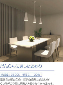 �������߾��� KOIZUMI �ڥ����� LED AP40561L ��������