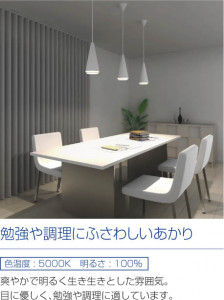 �������߾��� KOIZUMI �ڥ����� LED AP40561L ��������