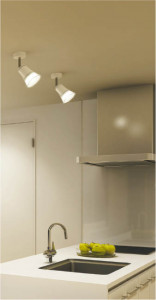 �������߾��� KOIZUMI ���ݥåȥ饤�� LED AS40356L �ܹ���̿�