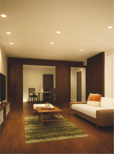 �������߾��� KOIZUMI �ⵤ̩������饤�� LED���ŵ忧�����򿧡� AD45116L �̿�1