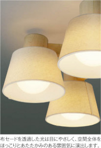 �������߾��� KOIZUMI �����ǥꥢ LED���ŵ忧�� AA42639L �̿�3